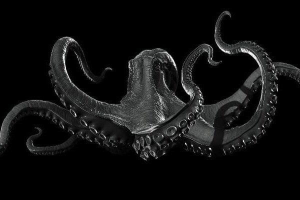 Ссылка на kraken зеркало рабочая