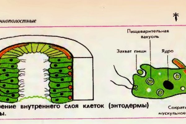 Как загрузить фото в блэкспрут с телефона