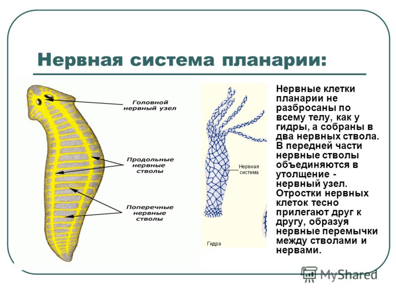 Настоящая ссылка на кракен