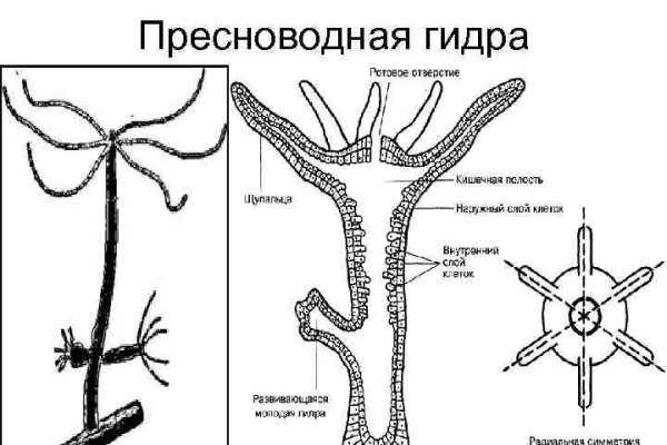 Сайт омг тор onion