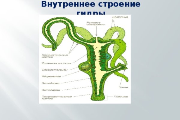 Ожидаем перевода от обменника блэкспрут