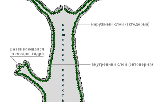 Как через тор браузер зайти в мегу