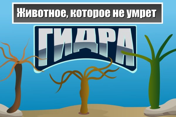 Омг заркало